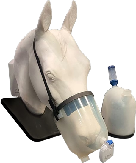 Nebulizador equino